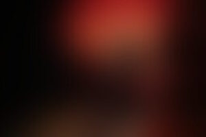 Фотография перформанса Зверинец от компании Quest Stars (Фото 1)