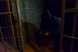 Тюремный бунт