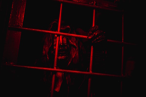 Фотография перформанса Зов древних от компании Сахарная вата (Фото 5)