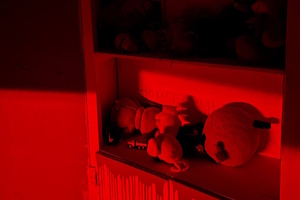 Фотография перформанса Приют от компании Mistik Quest (Фото 5)