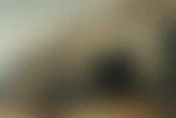 Фотография квеста Кошмары секретного объекта от компании Классный квест (Фото 1)